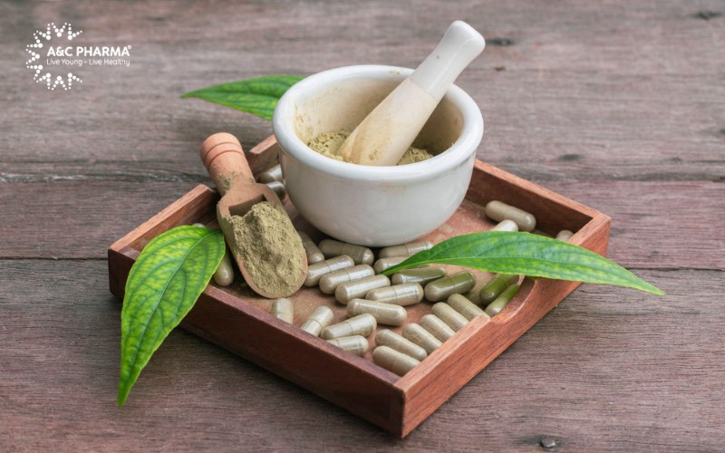 Cách dùng xuyên tâm liên cho người lớn và trẻ em