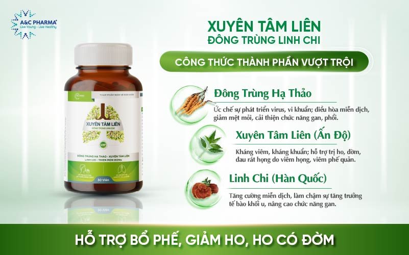 Viên uống Xuyên Tâm Liên Đông Trùng Linh Chi giảm ho nhanh chóng
