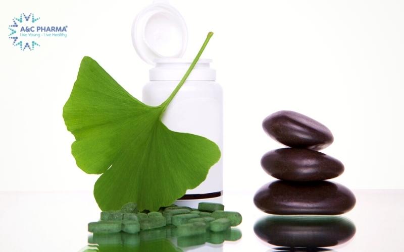 Hoạt huyết dưỡng não Ginkgo Biloba giúp tăng cường hoạt động não bộ, giảm đau đầu